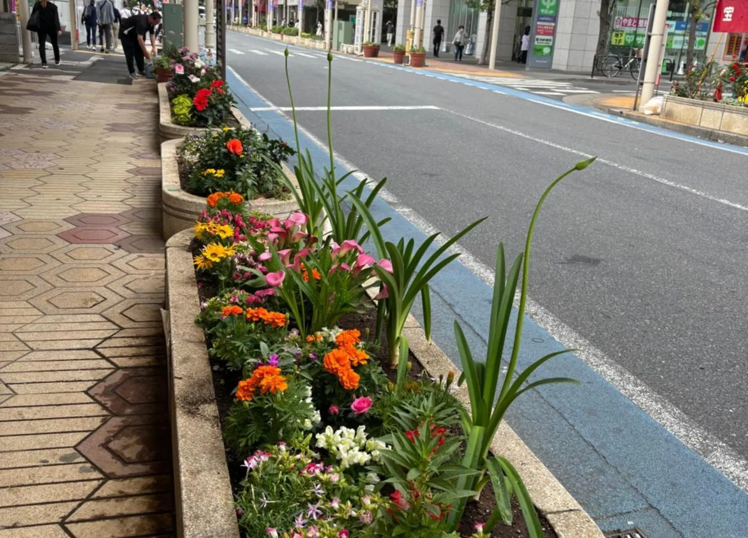 Villa Lapis House 201 - 2F & 3F Tokio